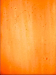 St Buryan to Lamorna/Orange poster