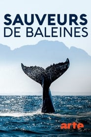 Sauveurs de baleines : les héros de l'île Campobello