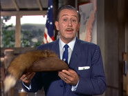 Swamp Fox: Brother Against Brother