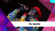 Pa Salieu