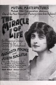 Poster The Miracle of Life