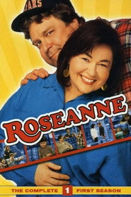 Roseanne Season 1 7