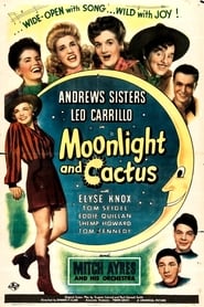 Poster Moonlight and Cactus