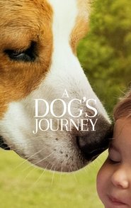 A Dog’s Journey