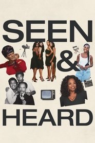 Seen & Heard: The History of Black Television (2025)
