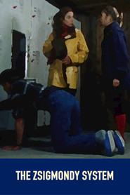 The Zsigmondy System