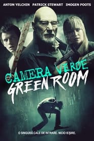 Camera verde (2016)