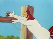 Leghorn Swoggled