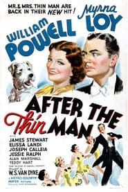 After the Thin Man постер