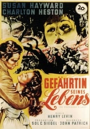 Gefährtin seines Lebens 1953 Stream German HD