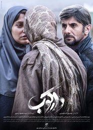 Poster Woodpecker 2018