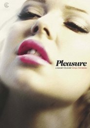 Poster Pleasure 2013