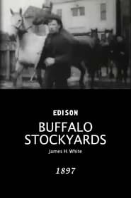 Poster Buffalo Stockyards