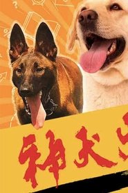 Poster 神犬出击