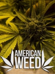 American Weed poster