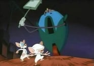 Pinky and the Brain - Episode 2x04
