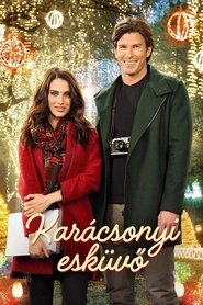 Karácsonyi esküvő (2015)