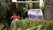 Aflevering 13
