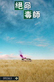 绝命毒师 特别篇 海报