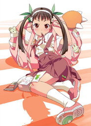 Monogatari Bakemonogatari 11