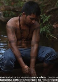 Da aldeia à universidade