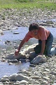 Passage(s) de Nature 1996 Бесплатан неограничен приступ
