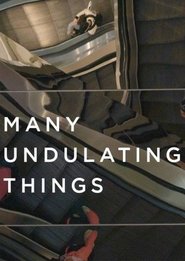 Poster Many Undulating Things 2019