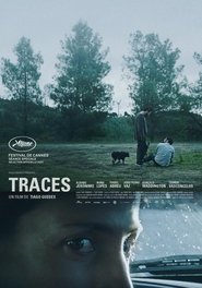 Traces streaming