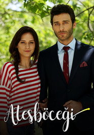 Ateşböceği poster