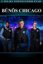 Bűnös Chicago 11. évad plakát
