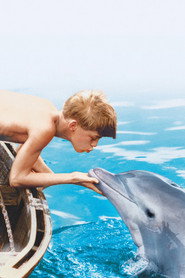 Flipper