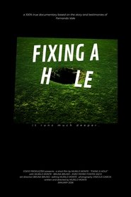 Fixing a Hole (2026)