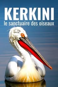 Poster Kerkini, ein See als Vogelzuflucht