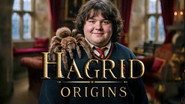 HAGRID: The Complete Life. Half-giant, Gryffindor and Keeper of Keys