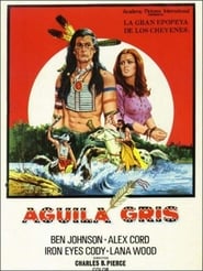 Aguila gris