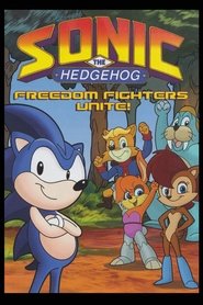 Poster Sonic the Hedgehog: Freedom Fighters Unite 2009