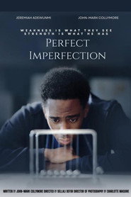 Poster for Perfect Imperfection