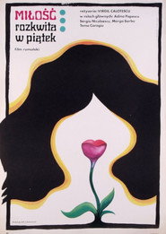 Plakat — Dragostea începe vineri