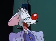 Pinky and the Brain - Episode 3x21
