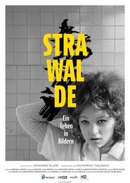 watch Strawalde - Ein Leben in Bildern now