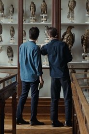 Language of Birds Language of Birds