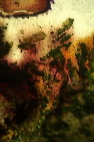 Poster Jours en fleurs 2003