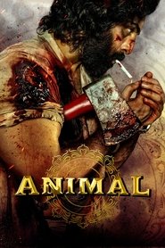 Animal Animal