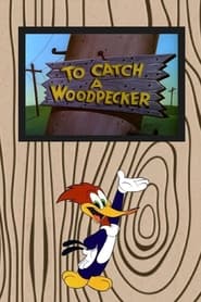 Poster To Catch a Woodpecker