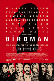 Birdman cz dubbing filmů celý český titulky HD 2014