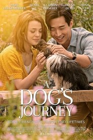 A Dog’s Journey