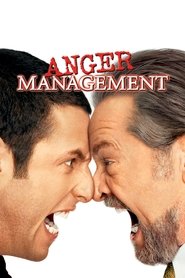 Anger Management (2003) HD