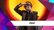 Pulp