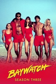 Baywatch Season 3 Episode 17 Baywatch Season 3 Episode 17