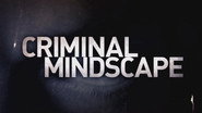 Criminal Mindscape